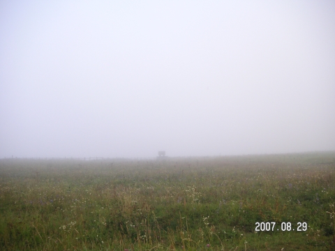 s_PICT0511.jpg